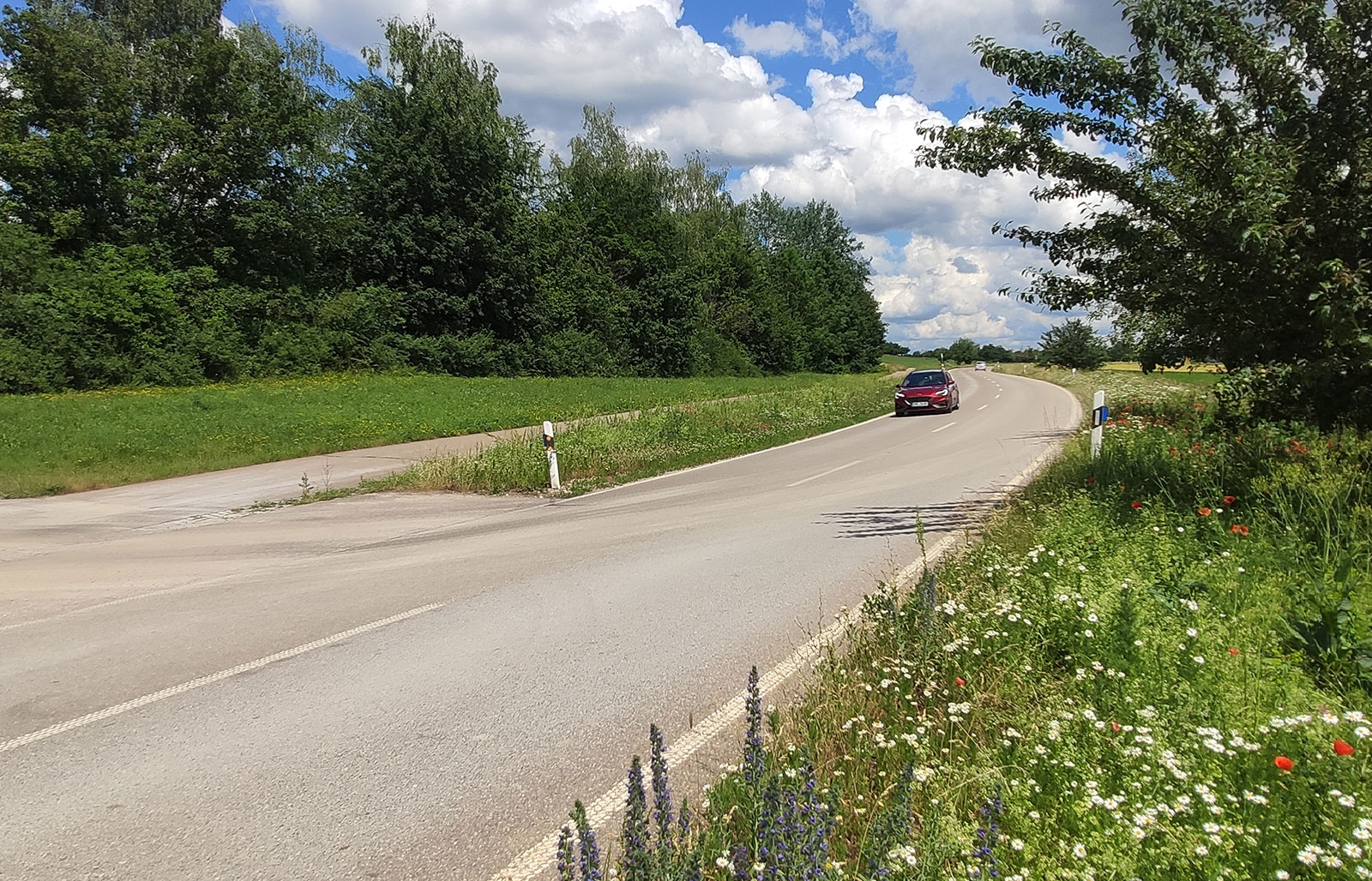 Motorspecifisk programvarautveckling för Ford Focus ST